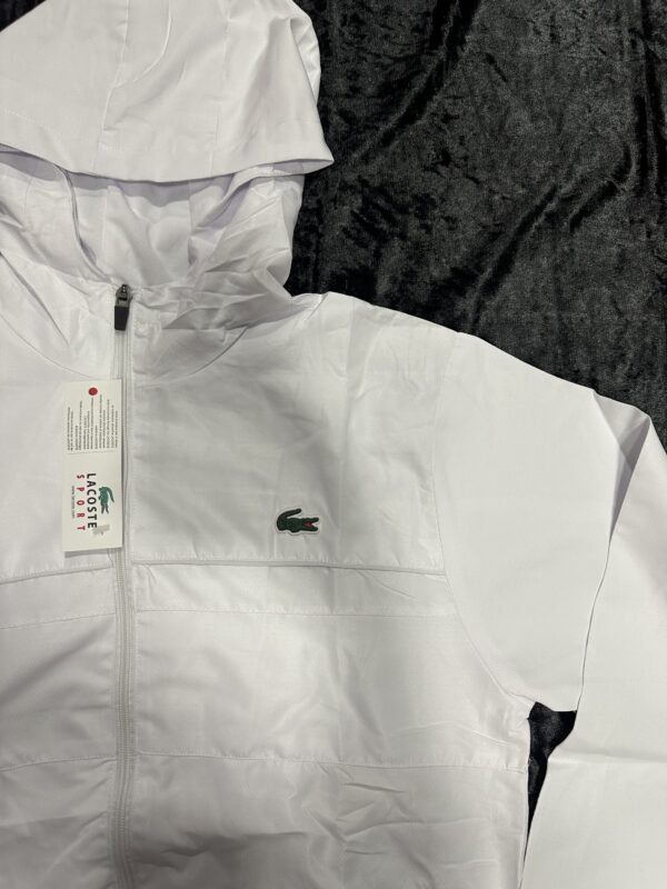 CHÁNDAL LACOSTE - Imagen 3