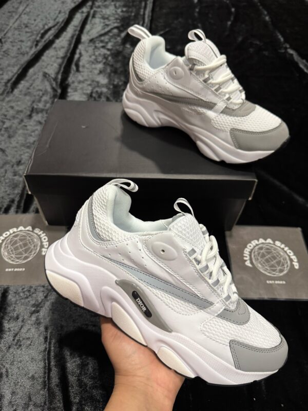 DIOR B22