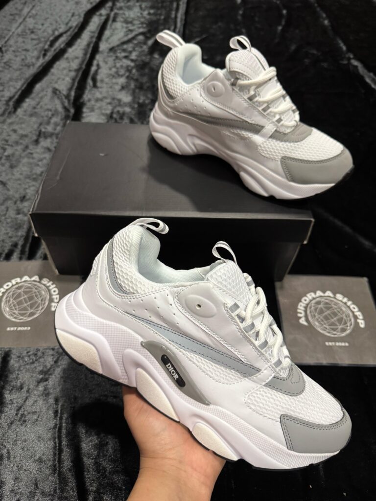 DIOR B22
